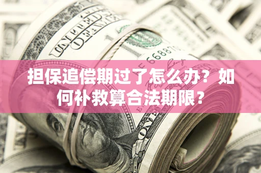 北京担保追偿期过了怎么办？如何补救算合法期限？