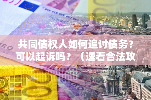 北京共同债权人如何追讨债务？可以起诉吗？（速看合法攻略）