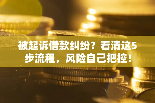 北京被起诉借款纠纷？看清这5步流程，风险自己把控！